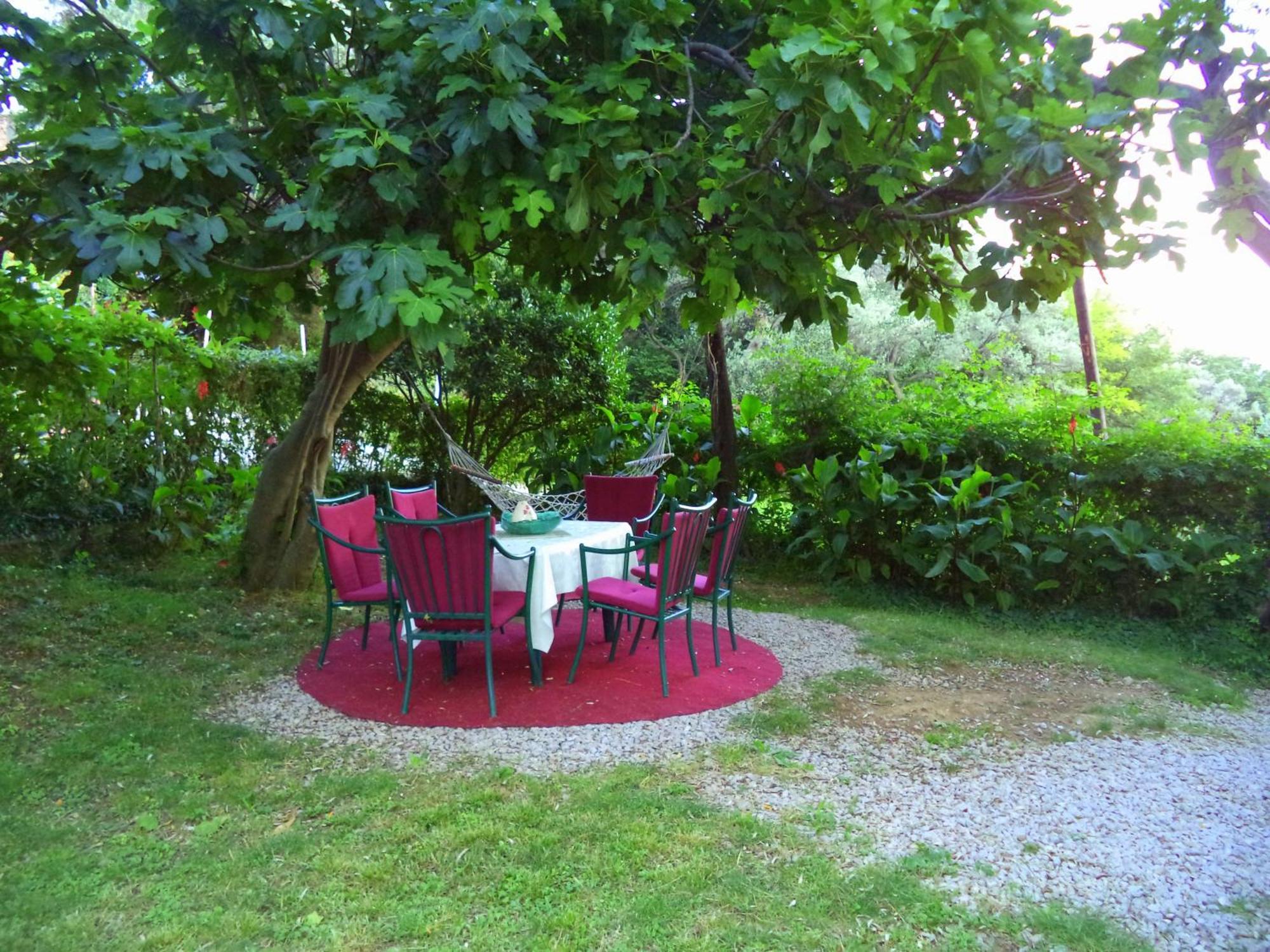 בודווה Apartments Nikcevic מראה חיצוני תמונה