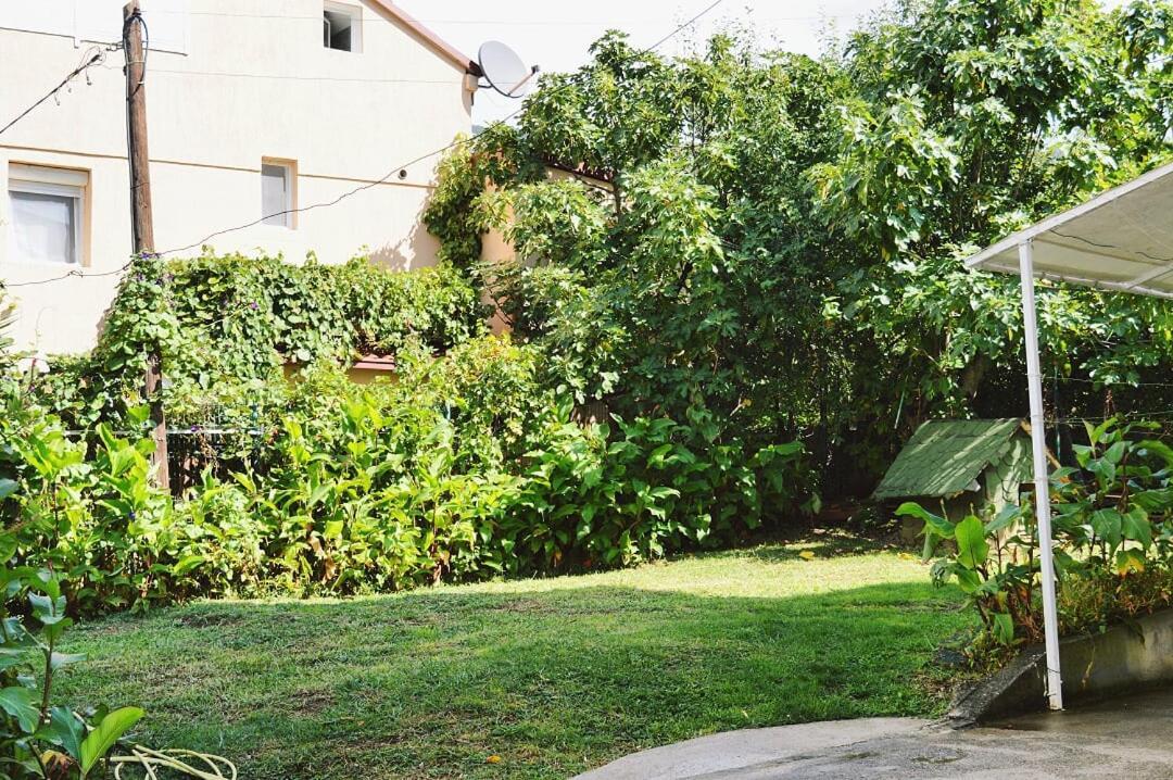 בודווה Apartments Nikcevic מראה חיצוני תמונה