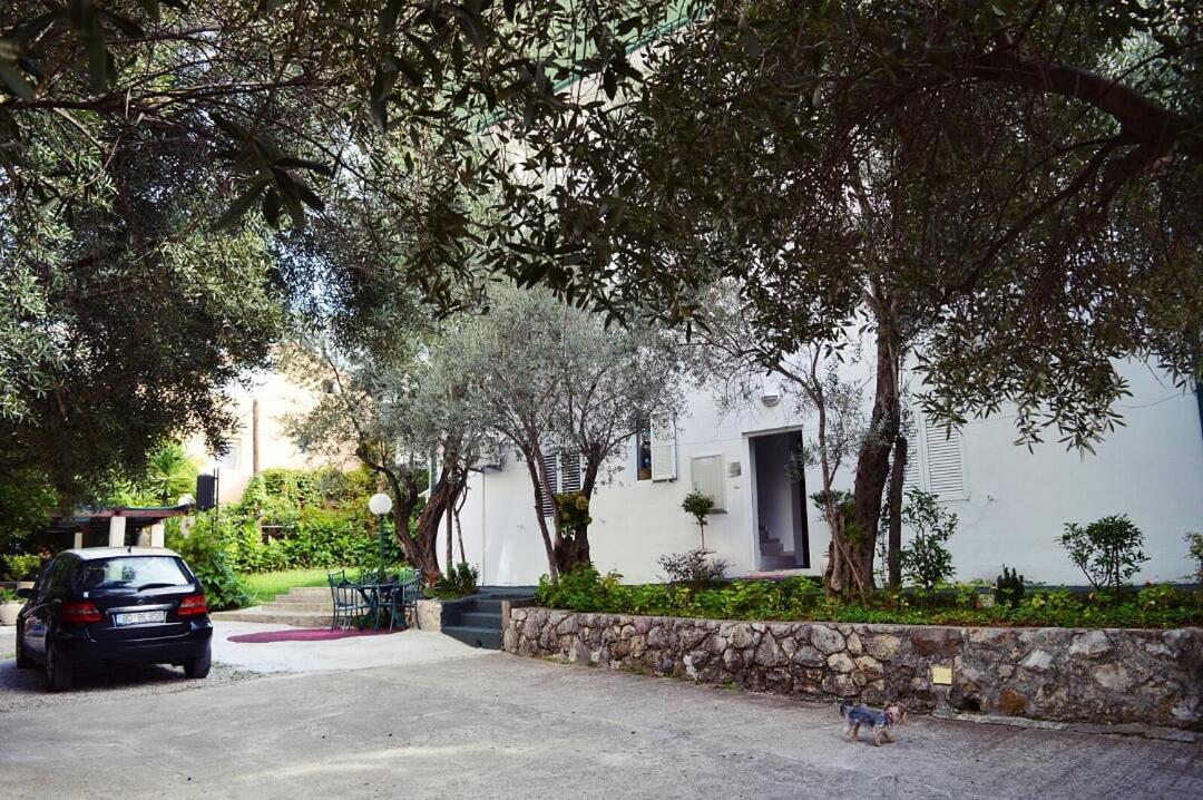 בודווה Apartments Nikcevic מראה חיצוני תמונה